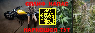 сатива Славянск-на-Кубани