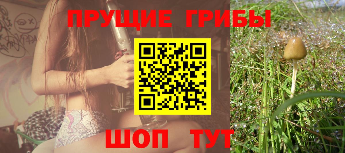 Нальчик  Псилоцибиновые грибы MAGIC MUSHROOMS  Вход с VPN 