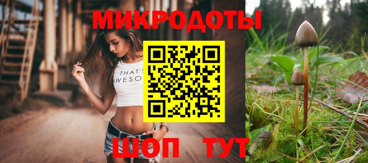 Псилоцибиновые грибы GOLDEN TEACHER Нальчик